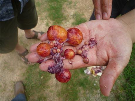 �����ں���ʡ�I���h���u�������g(sh��)ָ��(d��o)���D�V�W(xu��)��(x��)