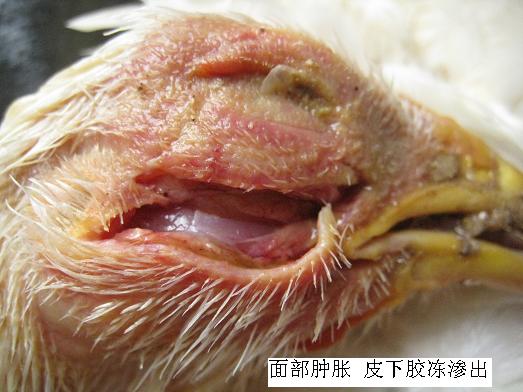 ���ʕr��(y��ng)ԓ��ʲô��λ��ʲô��λ�l(f��)��ʲô����